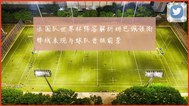 法国队世界杯阵容解析姆巴佩领衔锋线表现与球队晋级前景