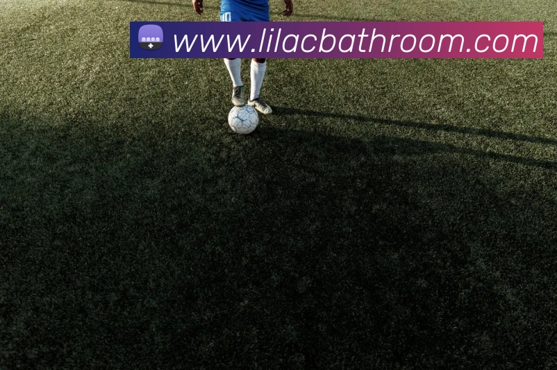 华体在线登录官网APP 封面图